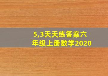 5,3天天练答案六年级上册数学2020