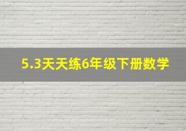 5.3天天练6年级下册数学