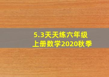 5.3天天练六年级上册数学2020秋季