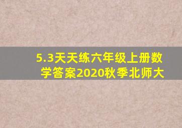 5.3天天练六年级上册数学答案2020秋季北师大