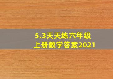 5.3天天练六年级上册数学答案2021