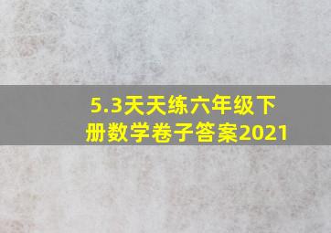 5.3天天练六年级下册数学卷子答案2021