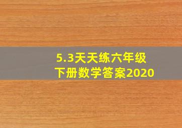 5.3天天练六年级下册数学答案2020