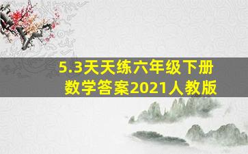 5.3天天练六年级下册数学答案2021人教版