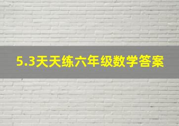 5.3天天练六年级数学答案