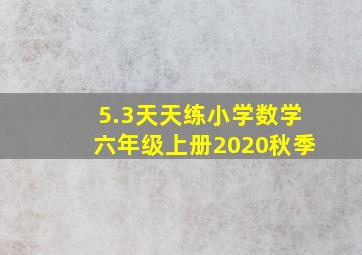 5.3天天练小学数学六年级上册2020秋季