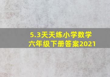 5.3天天练小学数学六年级下册答案2021