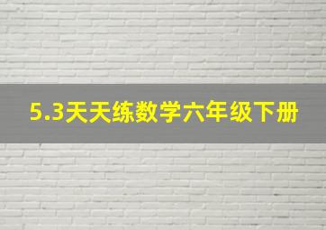 5.3天天练数学六年级下册