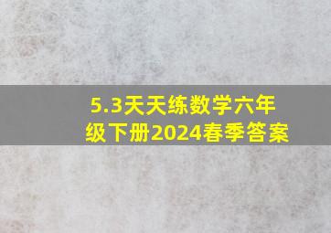 5.3天天练数学六年级下册2024春季答案