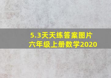 5.3天天练答案图片六年级上册数学2020