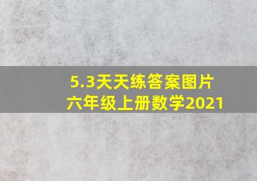 5.3天天练答案图片六年级上册数学2021