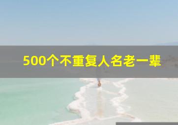 500个不重复人名老一辈