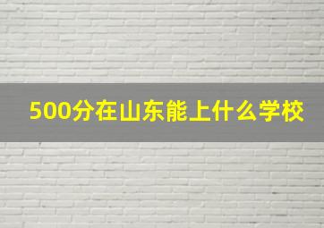 500分在山东能上什么学校