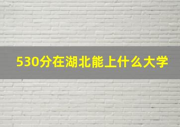 530分在湖北能上什么大学