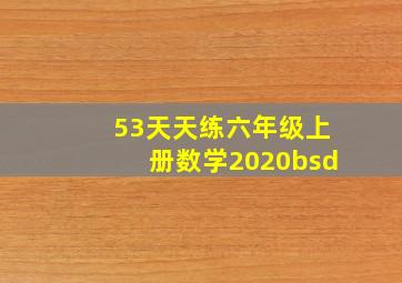 53天天练六年级上册数学2020bsd