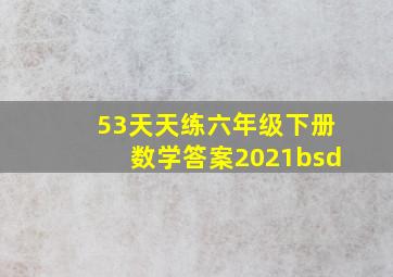 53天天练六年级下册数学答案2021bsd