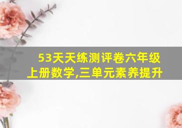 53天天练测评卷六年级上册数学,三单元素养提升