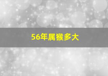 56年属猴多大