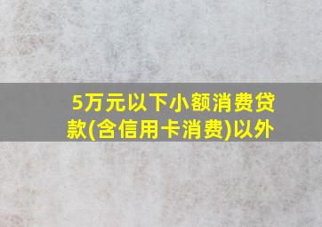 5万元以下小额消费贷款(含信用卡消费)以外