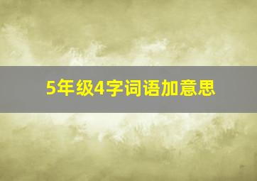 5年级4字词语加意思