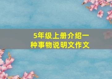 5年级上册介绍一种事物说明文作文