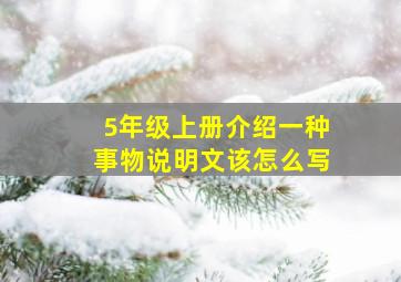 5年级上册介绍一种事物说明文该怎么写