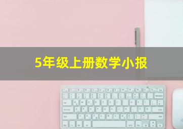 5年级上册数学小报