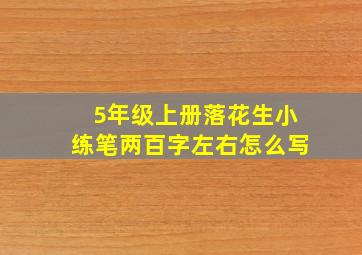 5年级上册落花生小练笔两百字左右怎么写