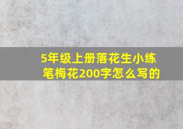 5年级上册落花生小练笔梅花200字怎么写的