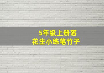 5年级上册落花生小练笔竹子