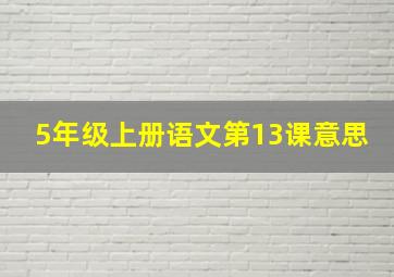 5年级上册语文第13课意思