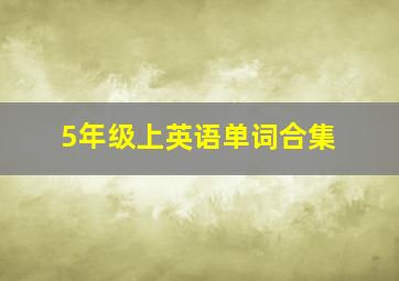 5年级上英语单词合集