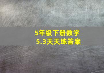 5年级下册数学5.3天天练答案