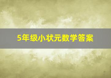 5年级小状元数学答案