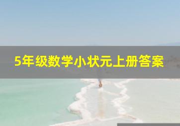 5年级数学小状元上册答案