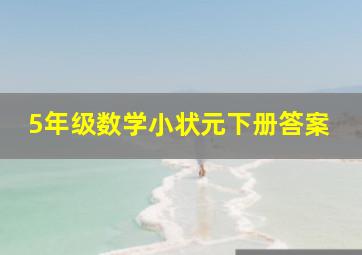 5年级数学小状元下册答案