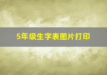 5年级生字表图片打印