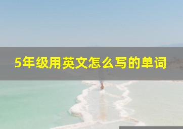 5年级用英文怎么写的单词