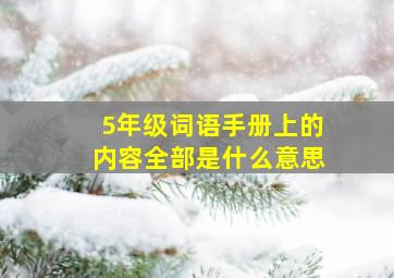 5年级词语手册上的内容全部是什么意思