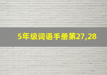 5年级词语手册第27,28