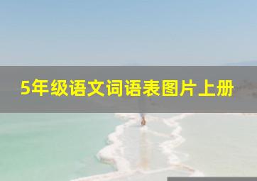 5年级语文词语表图片上册