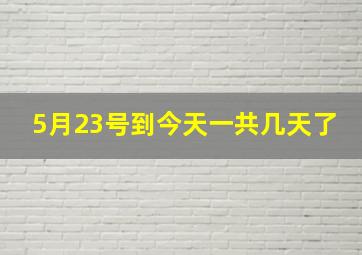 5月23号到今天一共几天了