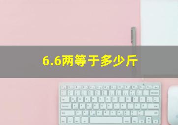 6.6两等于多少斤