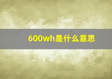 600wh是什么意思