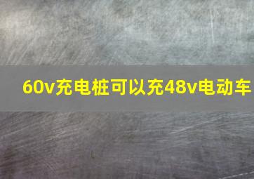 60v充电桩可以充48v电动车