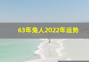 63年兔人2022年运势