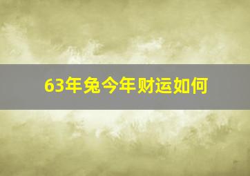 63年兔今年财运如何