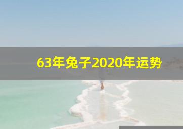 63年兔子2020年运势