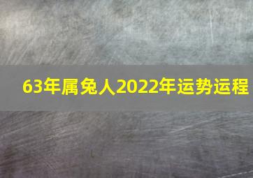 63年属兔人2022年运势运程