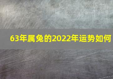 63年属兔的2022年运势如何